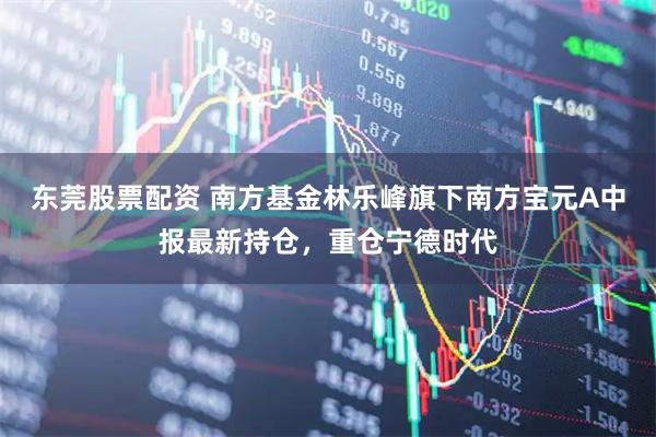 东莞股票配资 南方基金林乐峰旗下南方宝元A中报最新持仓，重仓宁德时代