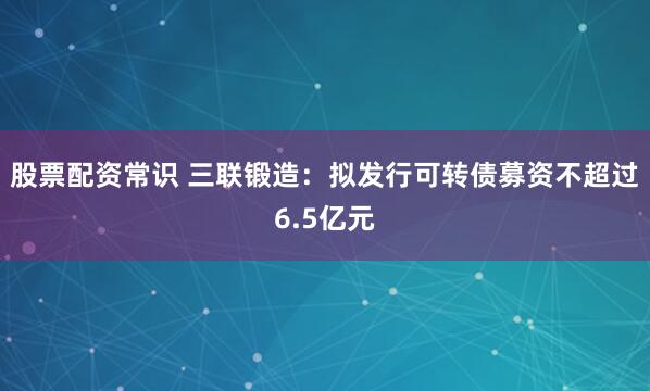 股票配资常识 三联锻造：拟发行可转债募资不超过6.5亿元