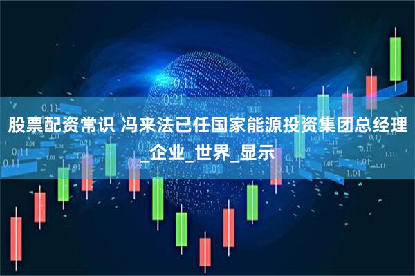 股票配资常识 冯来法已任国家能源投资集团总经理_企业_世界_显示