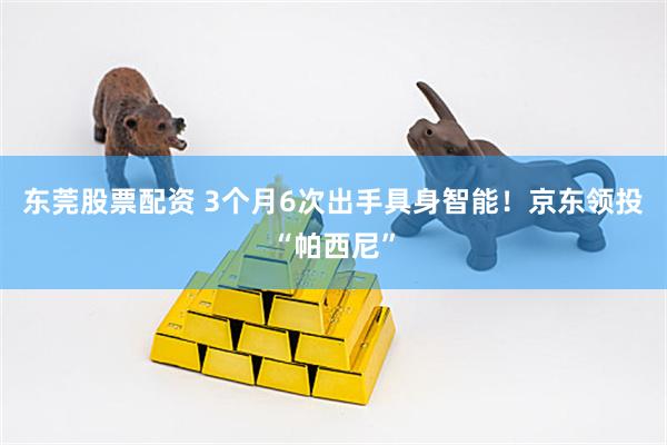 东莞股票配资 3个月6次出手具身智能！京东领投“帕西尼”